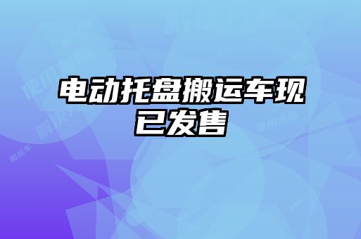 電動托盤搬運(yùn)車現(xiàn)已發(fā)售