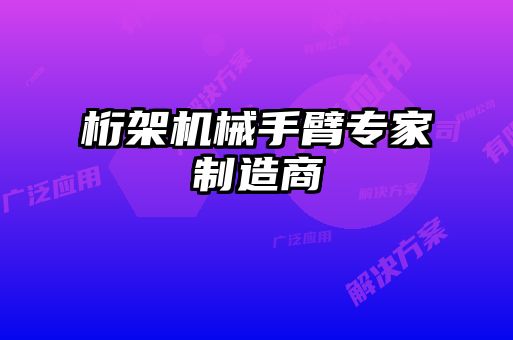 桁架機械手臂專家制造商