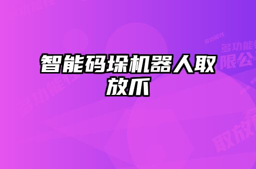 智能碼垛機(jī)器人取放爪