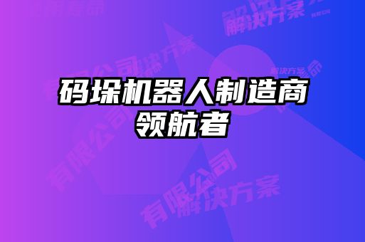 碼垛機器人制造商領航者