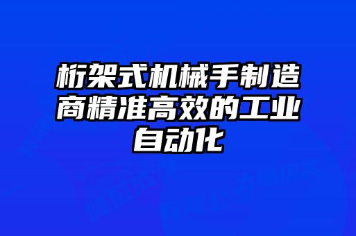 桁架式機(jī)械手制造商精準(zhǔn)高效的工業(yè)自動化