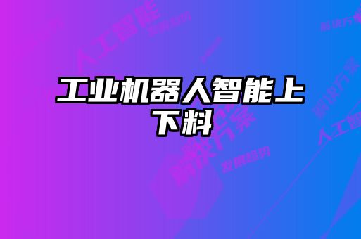 工業(yè)機器人智能上下料