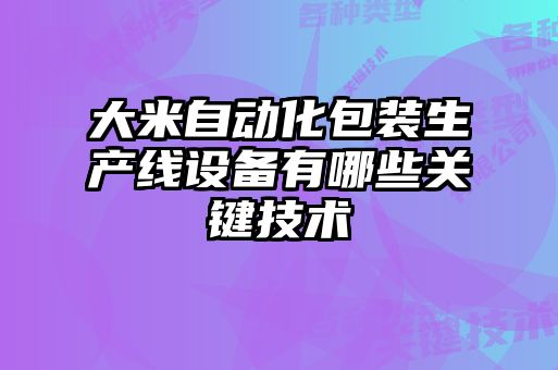 大米自動化包裝生產線設備有哪些關鍵技術