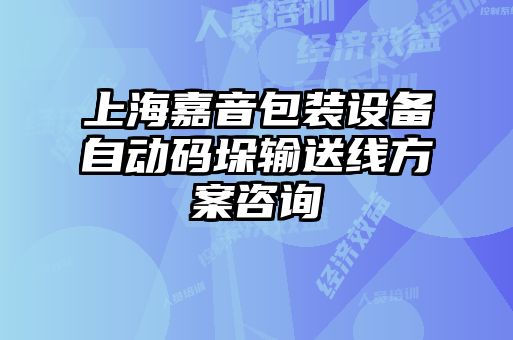 上海嘉音包裝設備自動碼垛輸送線方案咨詢