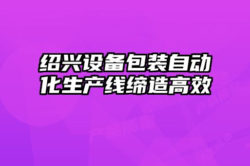 紹興設(shè)備包裝自動化生產(chǎn)線締造高效