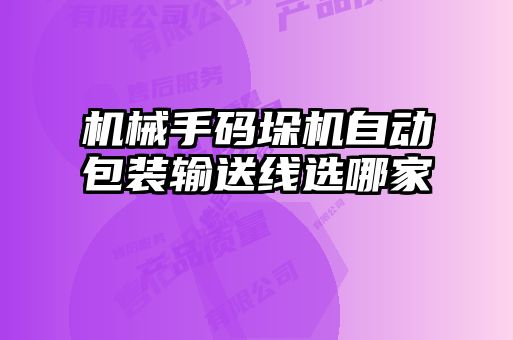 機械手碼垛機自動包裝輸送線選哪家