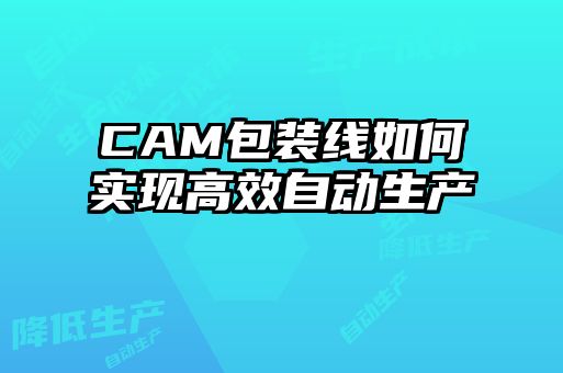 CAM包裝線如何實現(xiàn)高效自動生產(chǎn)