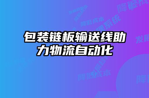 包裝鏈板輸送線助力物流自動化